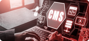 How We Build WordPress Systems That Perform